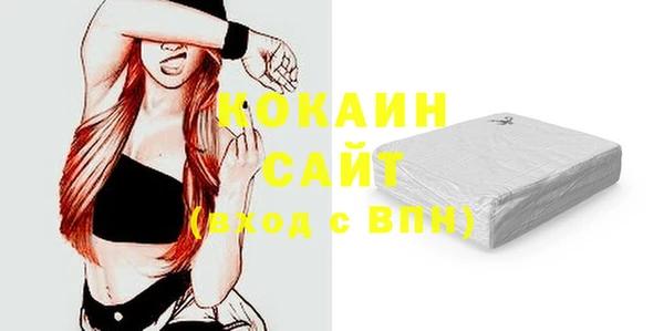 амф Верхний Тагил