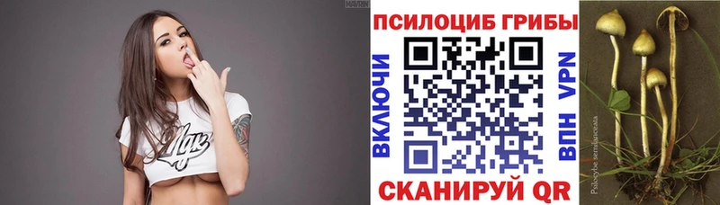 mega вход Энем Псилоцибиновые грибы прущие грибы